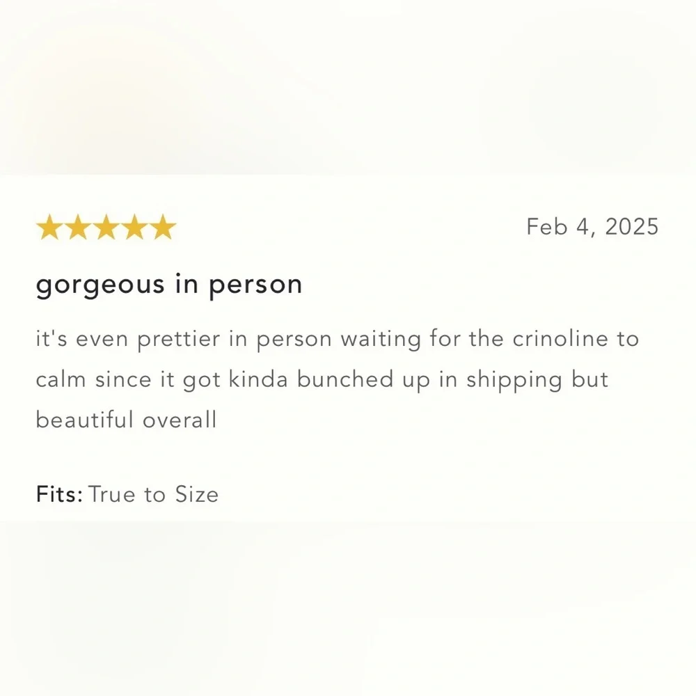 NWT Size 10 - Maeve Sleeveless V-Neck Lace Fit & Flare Mini Dress - Picture 4 of 16